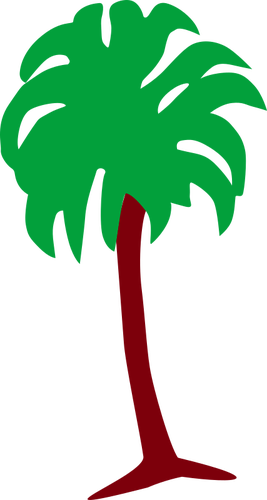 Imagem de árvore de palma