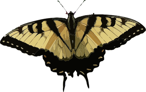 Черный и коричневый бабочка