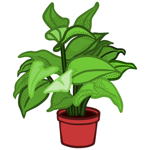 Image de plante en pot