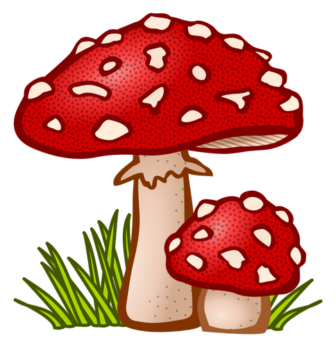 Colored toadstool