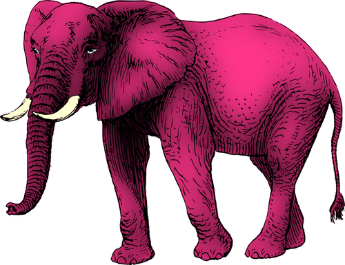 Elefante rosa clip art