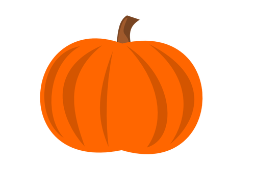 Plain pumpkin vector image