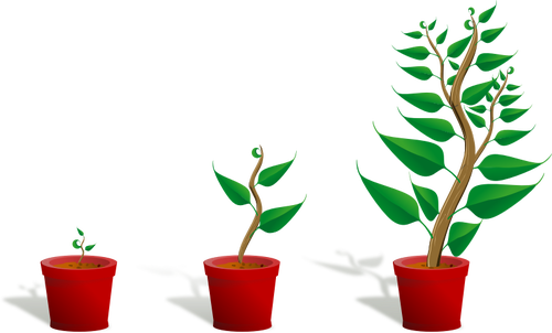 Зеленые растения в горшках векторное изображение