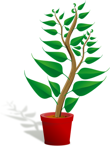 Ilustración de vector de pote verde planta