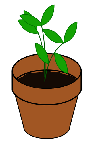 Gambar vektor sederhana tanaman dalam pot terakota