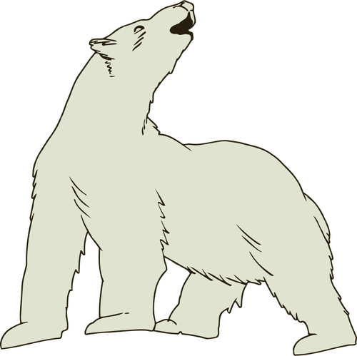 Isbjörn vektor bild
