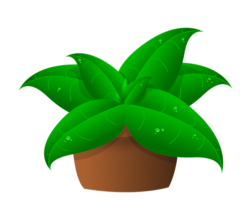 Vector drawing of large green leaves plant in pot