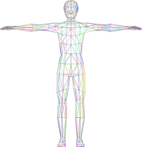 Immagine di uomo di wireframe colorato