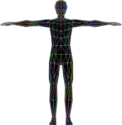Barevné lidské anatomie