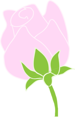 Roze roos lijntekeningen