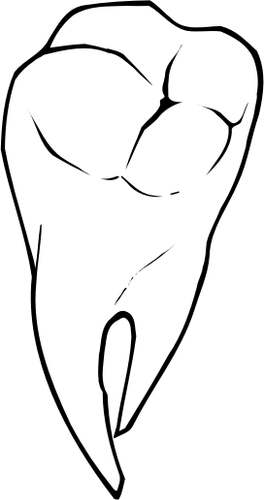 Raseone שן