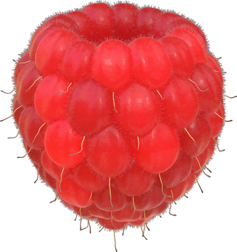 Raspberry gambar
