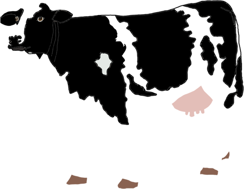 Krowa, rysunek