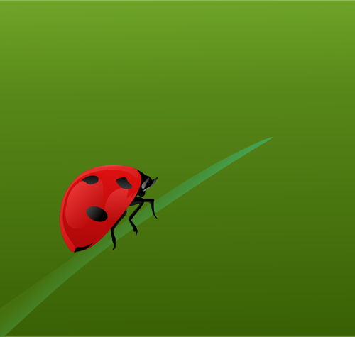 Realistisk ladybug