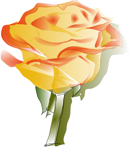 Yellow rose vector drawing