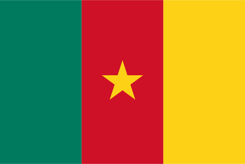 Bandera de la República de Camerún vector illustration