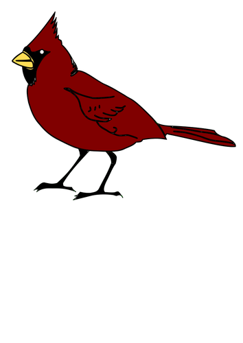Kardinal fågel i röd färg ClipArt