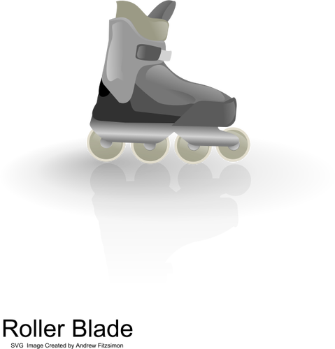 Vector illustration of color rollerblades with shadow