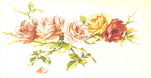 Vilda färgglada rosor