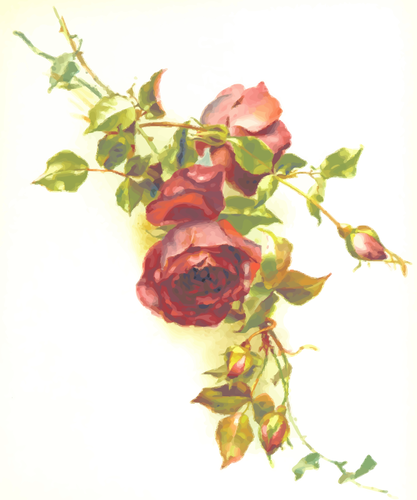 Villinpunaiset ruusut vektorikuva