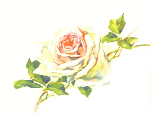 Blek vintage rose bild