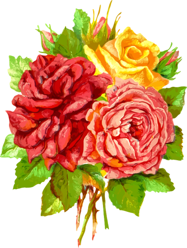 Yellow and red roses