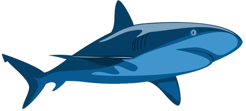 शुद्ध शार्क छवि