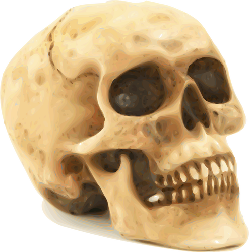 Effrayant Halloween skull vector clip art
