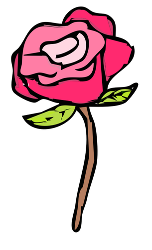 Pink rose vector illustration