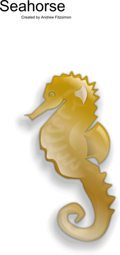 Seahorse clip art wektor żeński