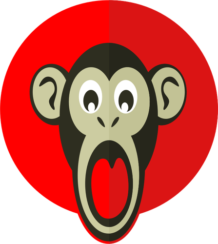 Shocked monkey