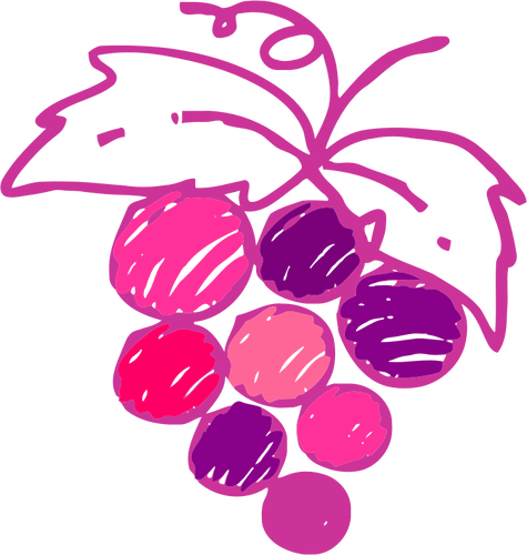 Imagen de uvas bosquejado