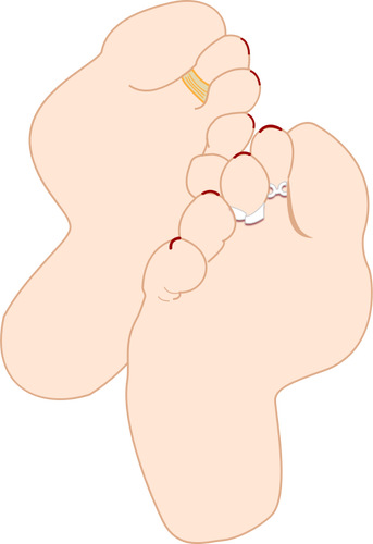 Plosky nohou vektorové ilustrace