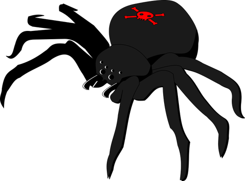Totenkopf Spinne