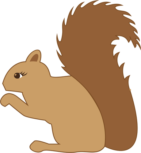 Écureuil mignon