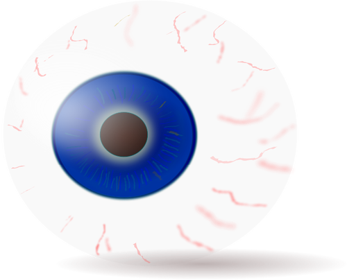 ClipArt vettoriali di un bulbo oculare completo con vene