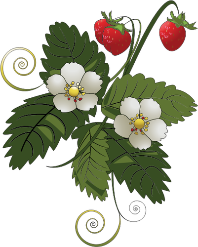Jordbær plante vektor image