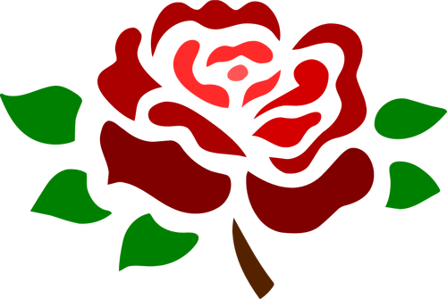 Kukkiva syvä punainen ruusu