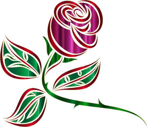 Rosa decorativa brillante
