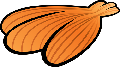 Image de coquille de mer orange d