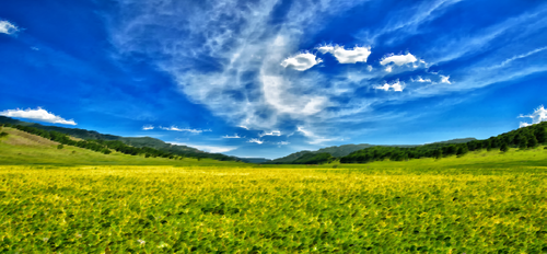 Spring meadow and blue sky