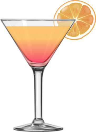 Tequila sunrise koktejl vektorový obrázek
