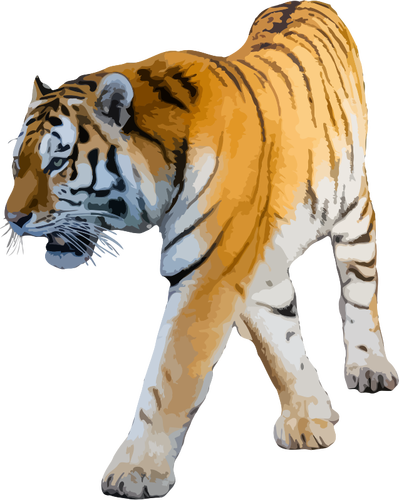 Ilustração do vetor de tigre