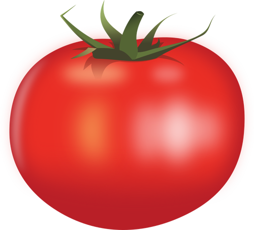 Šťavnaté rajče