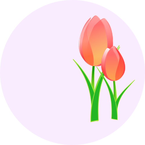 Vektor-Bild von einem Tulpen