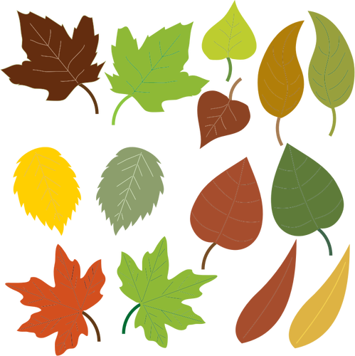 Variedade de folhas