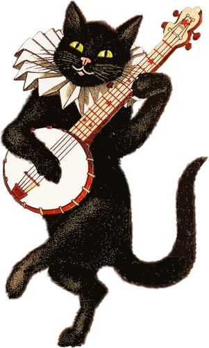 Katt musiker