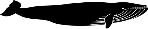 Ilustración vectorial de silueta de ballena