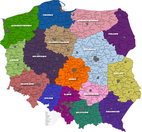 Districten van Polen kaart vector illustraties
