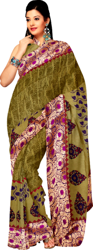 Vrouw in saree afbeelding